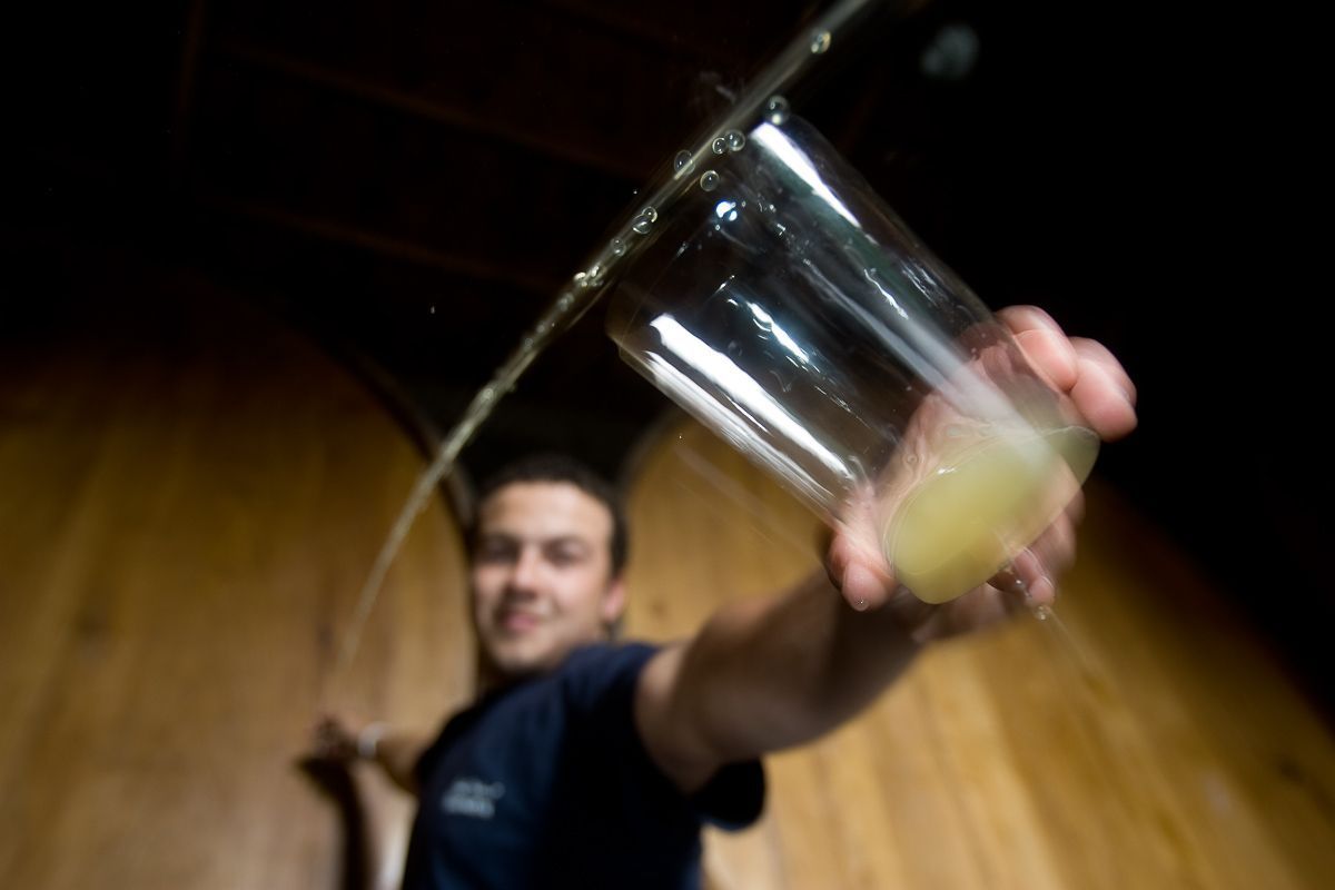 David Montes Foncueva escancia sidra en el llagar de Foncueva en San Román de Sariego